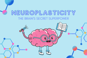 Neuroplasticity