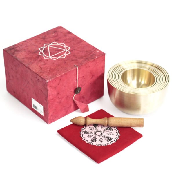 Set of 10 Metal Singing Bowls – Assorted Sizes